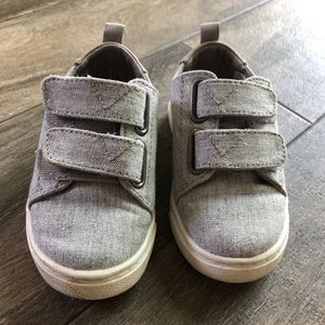 TOMS toddler sneakers 7T